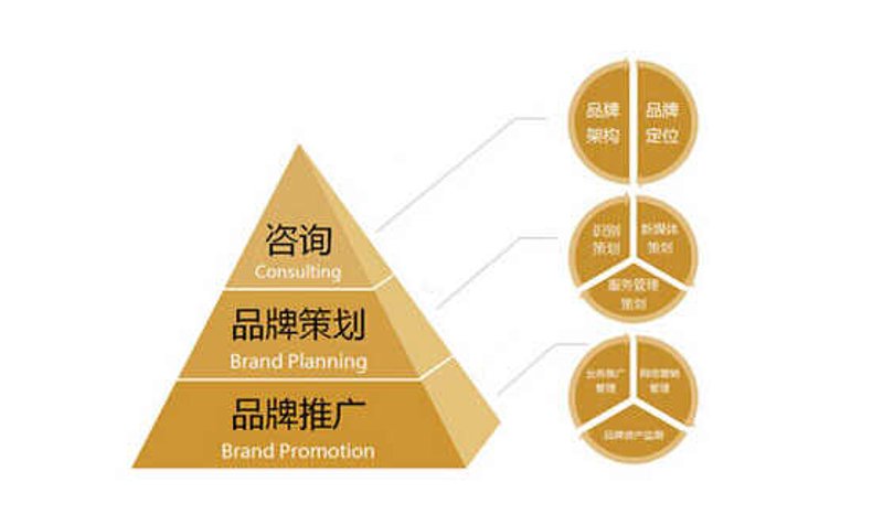 如何为您的影视作品找到最佳展示平台——对比分析多个影视制作网站